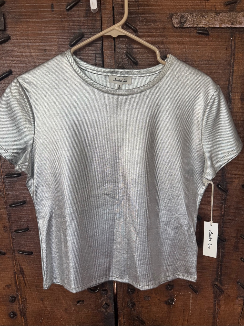 Another Love Metallic Silver Short Sleeve Tee